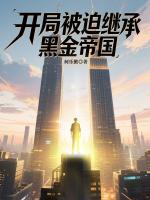 开局被迫继承黑金帝国