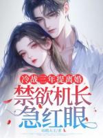 冷战三年提离婚,禁欲机长急红眼