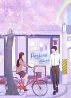 民政局撞见前夫,他带娃离婚我带钻戒结婚